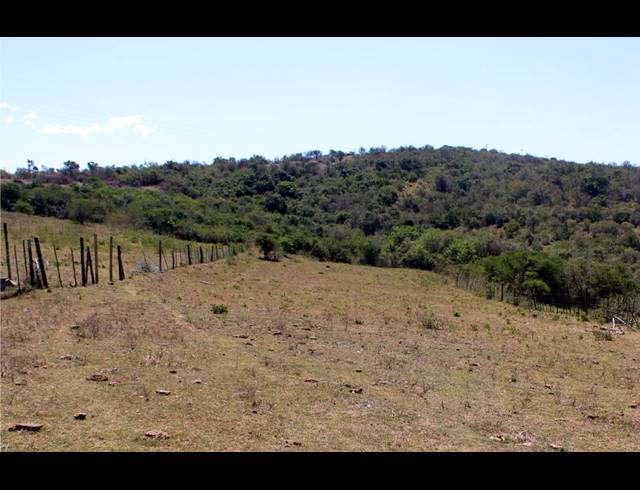 226HA FARM FOR SALE IN KOMGA RURAL